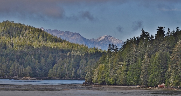 looking out over Tofino Inlet